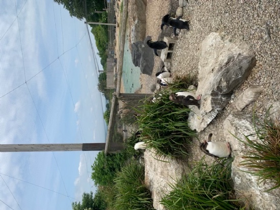 Year 7 Activity Week Adventures